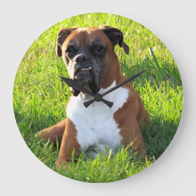 Boxer - Hund - Wall-Uhr Große Wanduhr (Vorderseite)