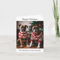 Boxer Hunde in Weihnachts-Sweaters
