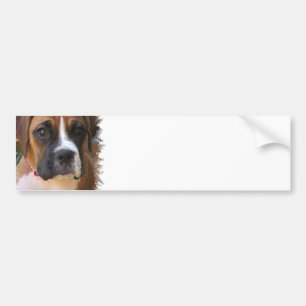 Boxer-Hundeentwurfs-Autoaufkleber Autoaufkleber