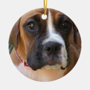 Boxer-Hundeentwurfs-Verzierung Keramikornament
