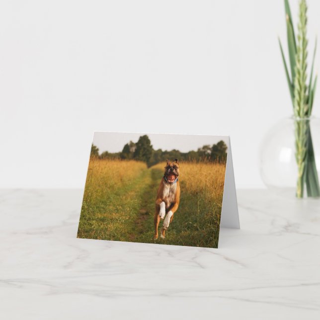Boxer-Hundegruß-Karte Karte (Vorderseite)