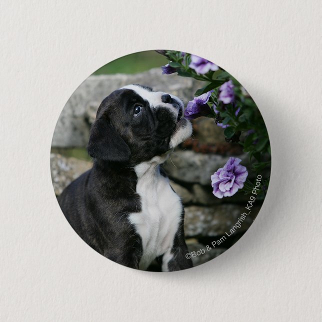 Boxer-Hundekeuchen Button (Vorderseite)