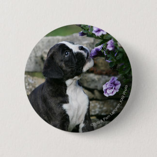 Boxer-Hundekeuchen Button
