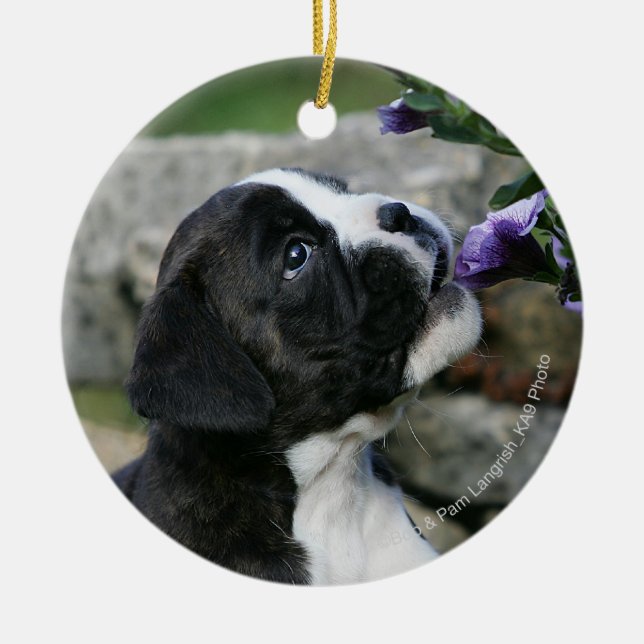 Boxer-Hundekeuchen Keramikornament (Vorne)