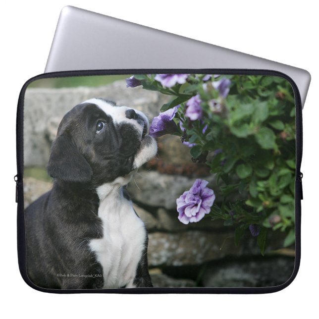 Boxer-Hundekeuchen Laptopschutzhülle (Vorderseite)