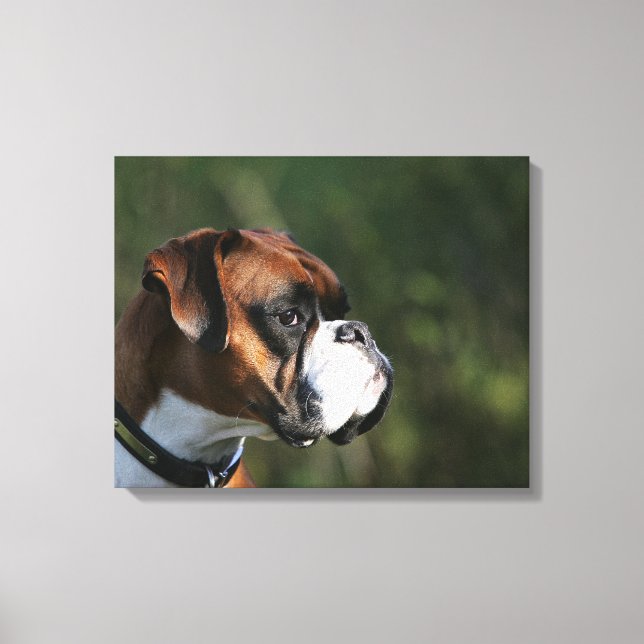 Boxer Hundeseite Profil Leinwanddruck (Vorderseite)