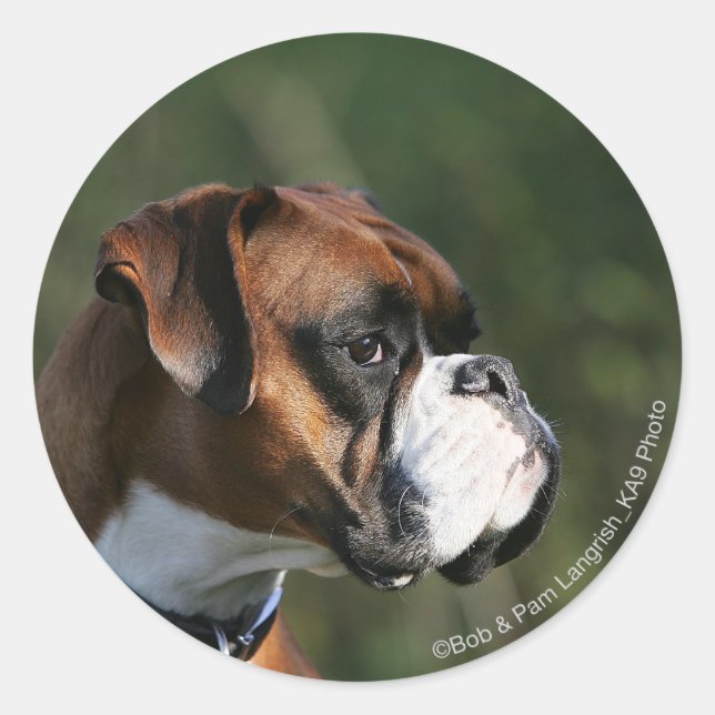 Boxer Hundeseite Profil Runder Aufkleber (Vorderseite)