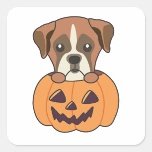 Boxer in Pumpkin Niedliche Hunde glücklich Hallowe Quadratischer Aufkleber
