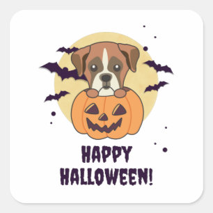 Boxer in Pumpkin Niedliche Hunde glücklich Hallowe Quadratischer Aufkleber