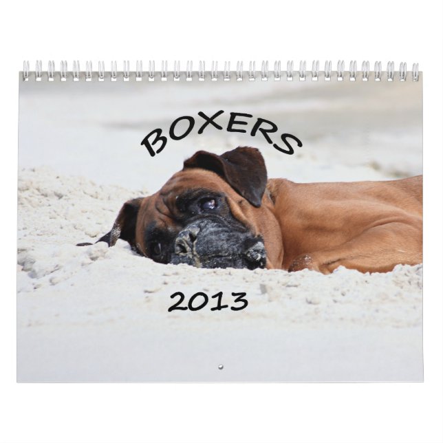 Boxer-Kalender 2013 Kalender (Titelbild)
