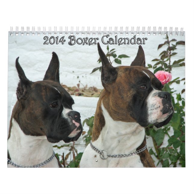 Boxer-Kalender 2014 Kalender (Titelbild)