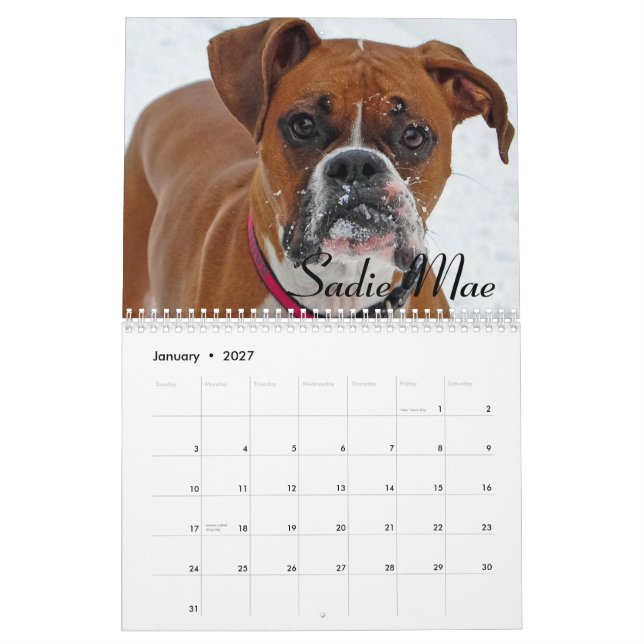 Boxer-Kalender 2015 Kalender (Jan 2027)