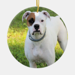 Boxer Keramik Ornament