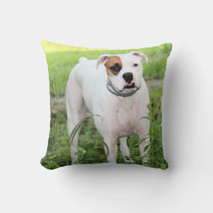 Boxer Kissen