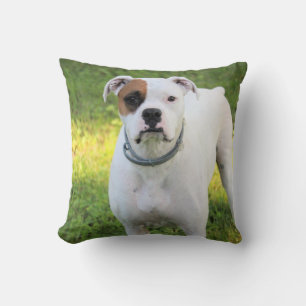 Boxer Kissen