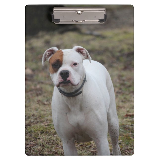 Boxer Klemmbrett (Vorderseite)