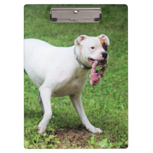 Boxer Klemmbrett