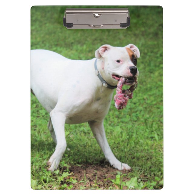 Boxer Klemmbrett (Vorderseite)