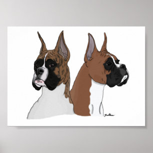 Boxer-Köpfe in Digital-Kunst auf Plakat