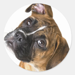 Boxer Liebe Runder Aufkleber