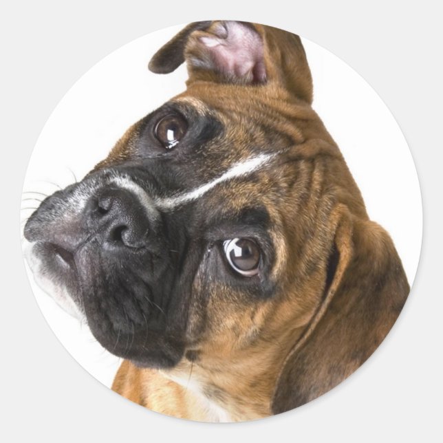 Boxer Liebe Runder Aufkleber (Vorderseite)