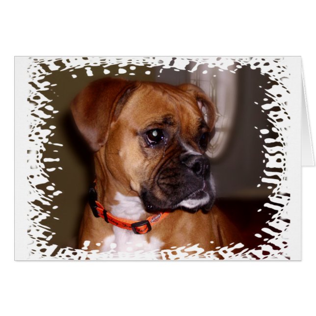 Boxer Love (Devant horizontal)