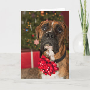 Boxer mit Nackenbogen Feiertagskarte