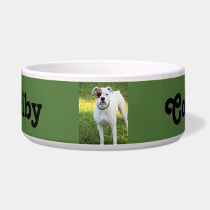 Boxer Napf