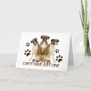 Boxer ne peut pas avoir une seule carte