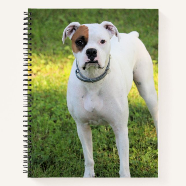 Boxer Notizbuch (Vorderseite)