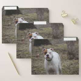 Boxer Papiermappe