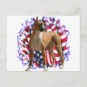 Boxer Patriot Postkarte