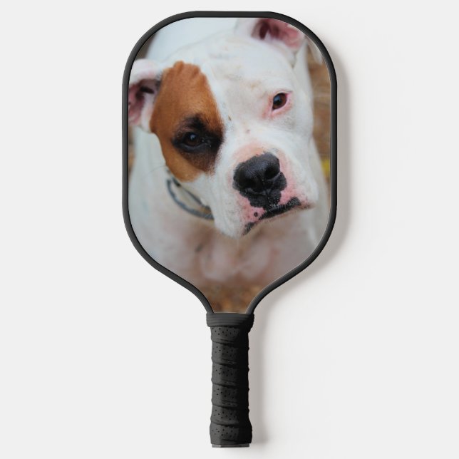 Boxer Pickleball Schläger (Vorderseite)