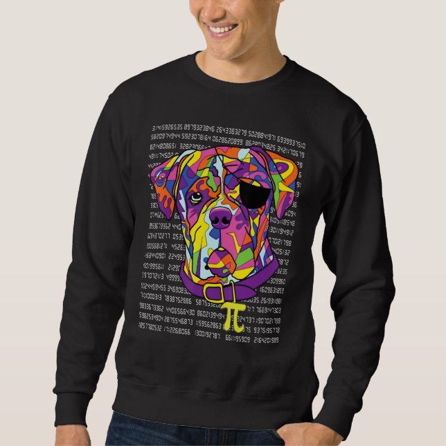 Boxer Pirate Costume Pi Day Math Teachers Sweatshirt (Vorderseite)