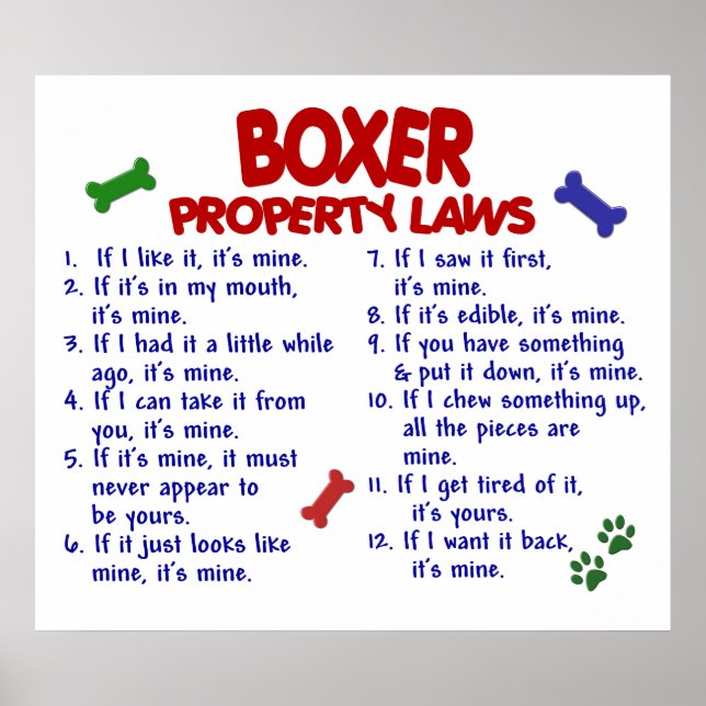BOXER PL2 POSTER (Vorne)