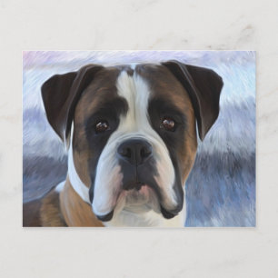 Boxer Postkarte