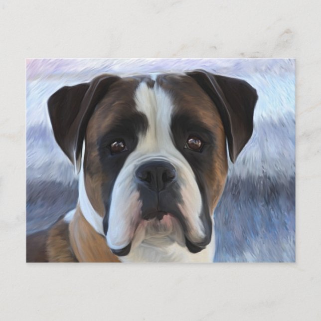 Boxer Postkarte (Vorderseite)
