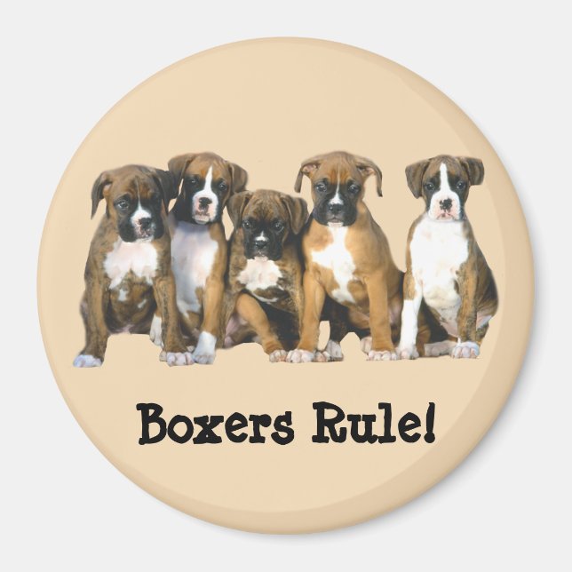 Boxer Puppies Magnet (Vorne)