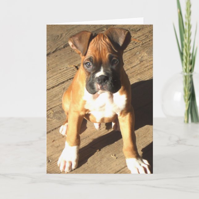 Boxer Puppy Grußkarte Karte (Vorderseite)