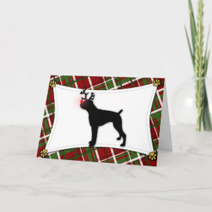 Boxer-Ren-Weihnachtskarte Feiertagskarte