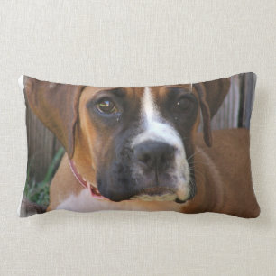 Boxer-Rettungs-Kissen Lendenkissen
