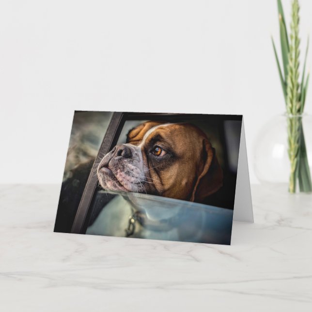 Boxer riecht nach einer GRILLEN Karte (Vorderseite)