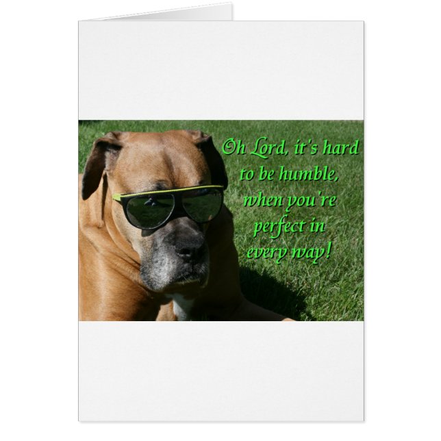 Boxer: schwer zu demütigen (Vorne)