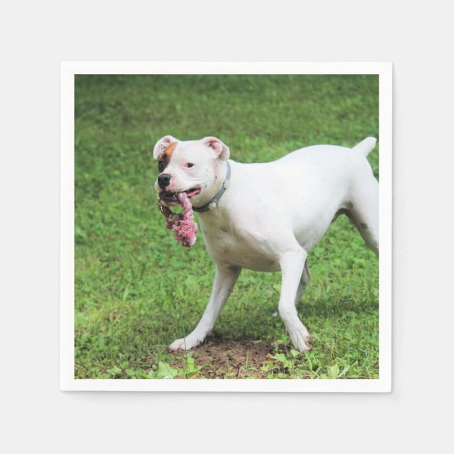 Boxer Serviette (Vorderseite)
