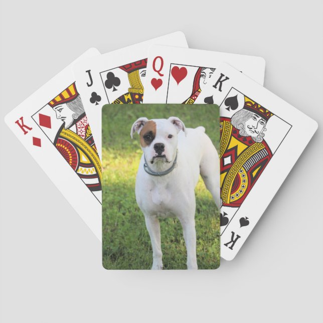 Boxer Spielkarten (Rückseite)