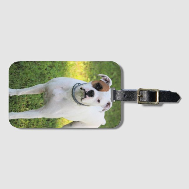 Boxer Spielkarten Gepäckanhänger (Vorderseite (Horizontal))