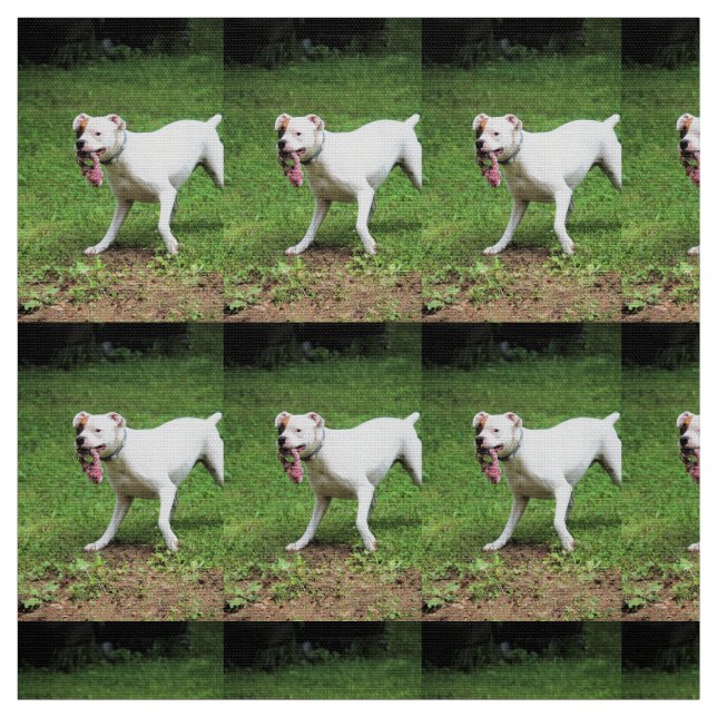 Boxer Stoff (Muster)