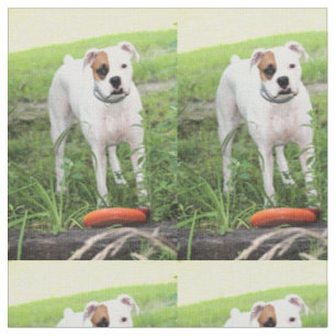 Boxer Stoff