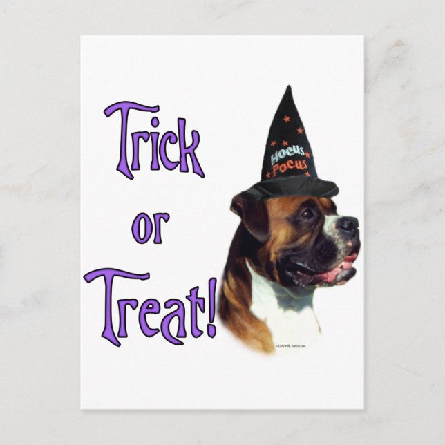 Boxer Trick Postkarte (Vorderseite)