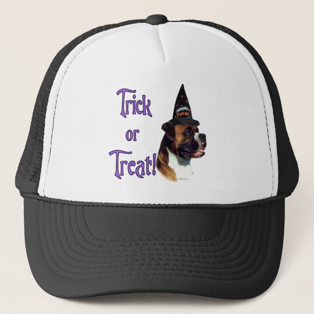 Boxer Trick Truckerkappe (Vorderseite)